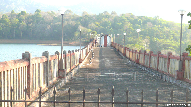 chimmini-dam-thrissur (17)